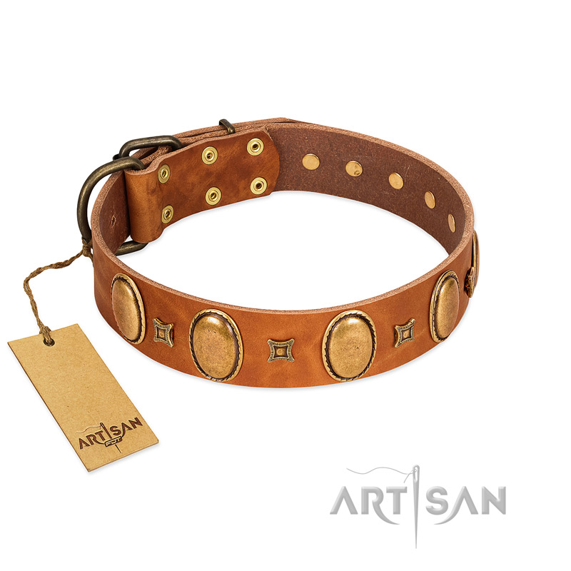 "Glossy Autumn" Designer Handmade FDT Artisan Tan Leather Belgian Malinois Collar with Ovals and Studs