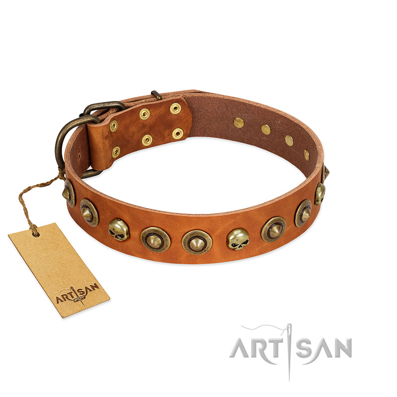 "Prez of the Pack" FDT Artisan Tan Leather Belgian Malinois Collar with Skulls and Brooches - Click Image to Close