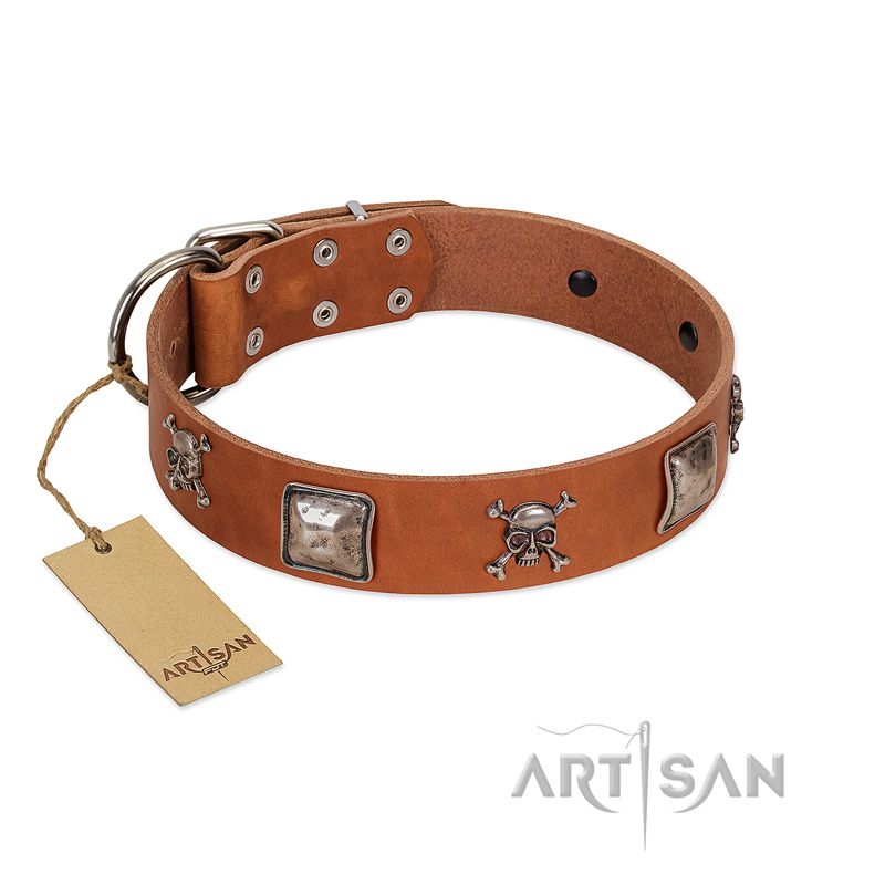"Amorous Escapade" Embellished FDT Artisan Tan Leather Belgian Malinois Collar with Chrome Plated Crossbones and Plates