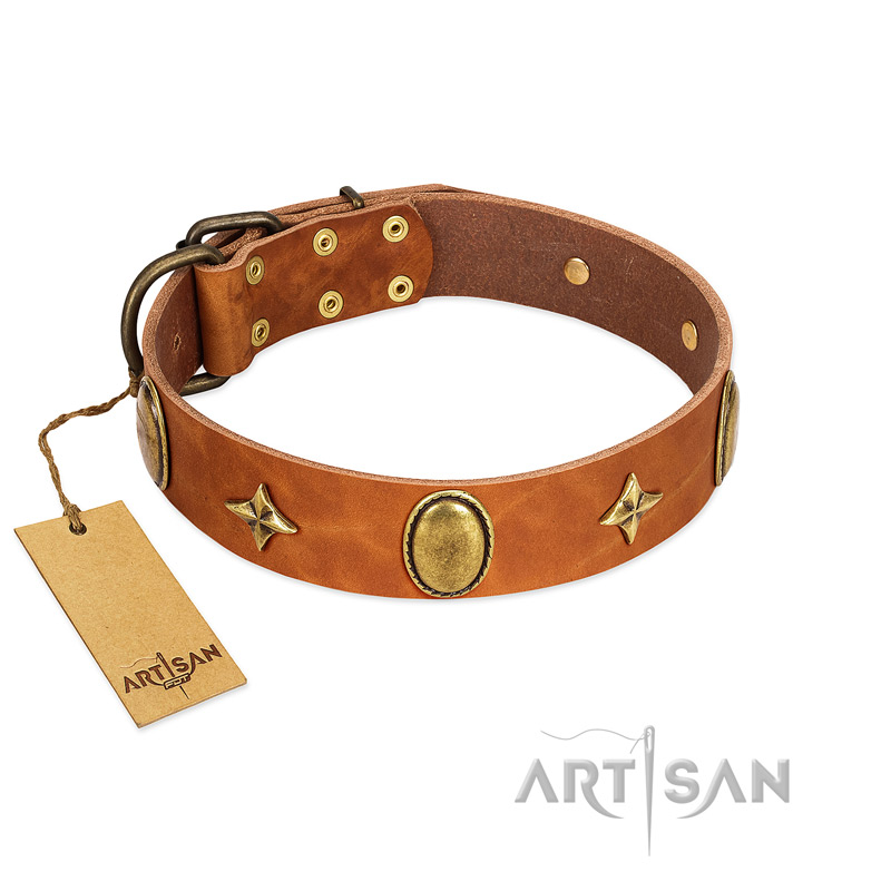 "Space Warrior" FDT Artisan Tan Leather Belgian Malinois Collar with Ovals and Stars