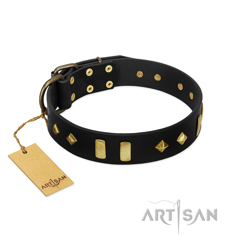 "De Luxe" FDT Artisan Black Leather Belgian Malinois Collar with Old Bronze-like Plates and Studs - Click Image to Close