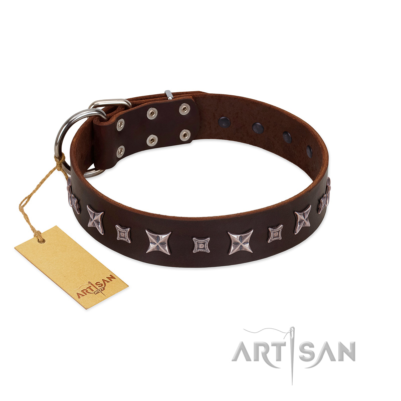 "Stellar Fairy " FDT Artisan Brown Leather Belgian Malinois Collar with Chrome-plated Star-like Decorations