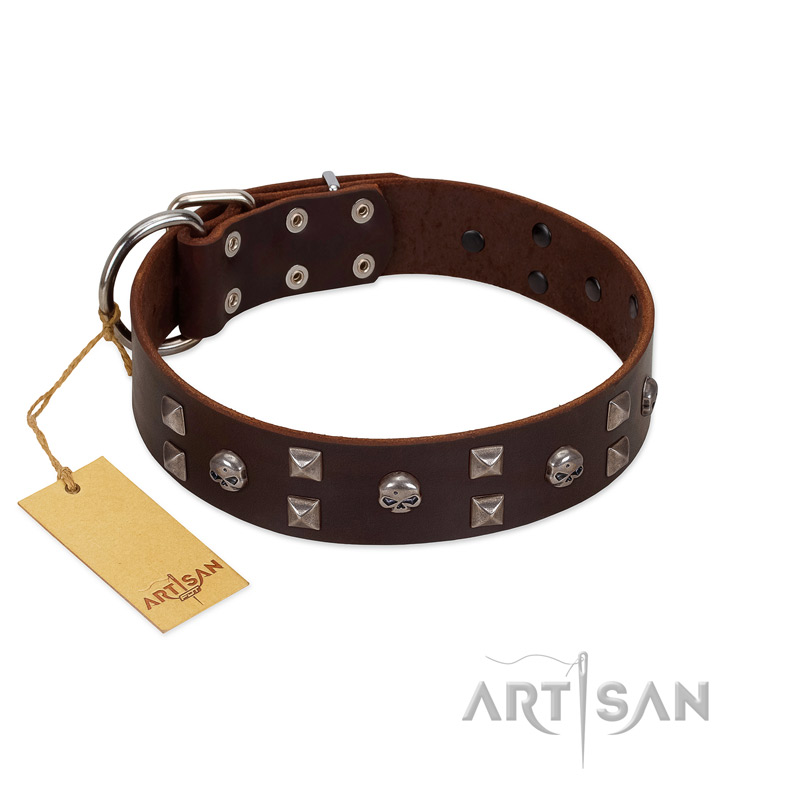 "Brown Shadow" Designer Handmade FDT Artisan Brown Leather Belgian Malinois Collar