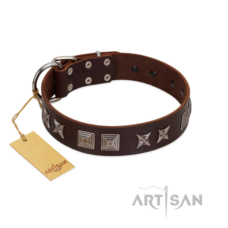 "Needle Stories" Modern FDT Artisan Brown Leather Belgian Malinois Collar with Square Engraved Plates and Four-Point Stars