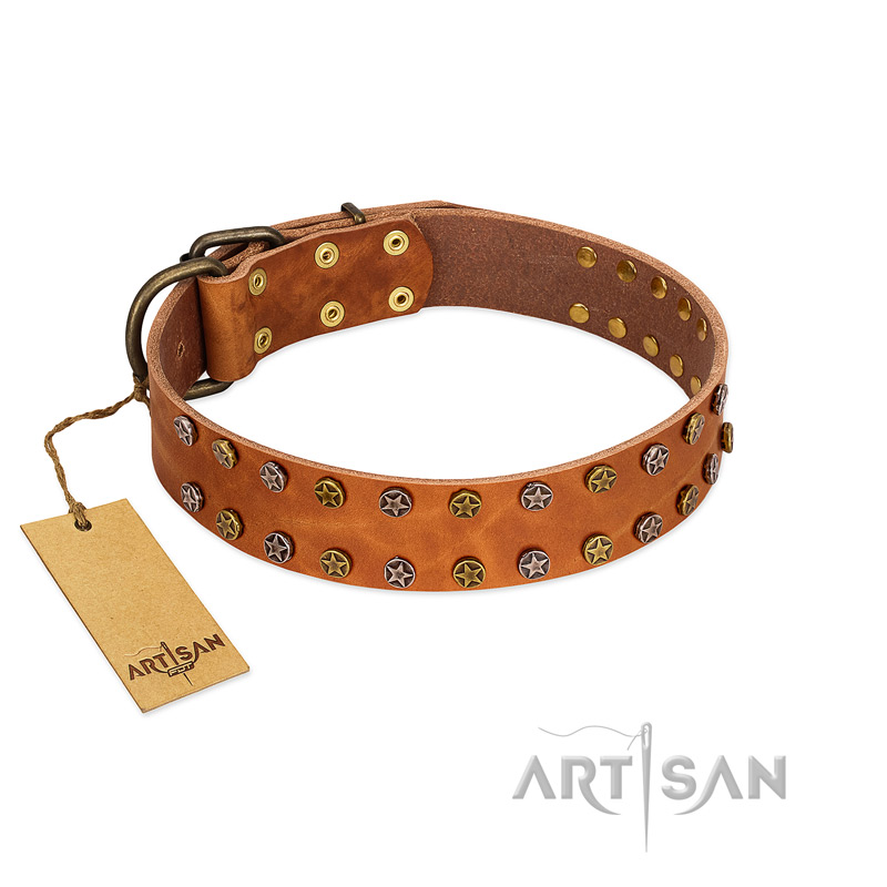 "Walk and Shine" FDT Artisan Tan Leather Belgian Malinois Collar with Antiqued Studs