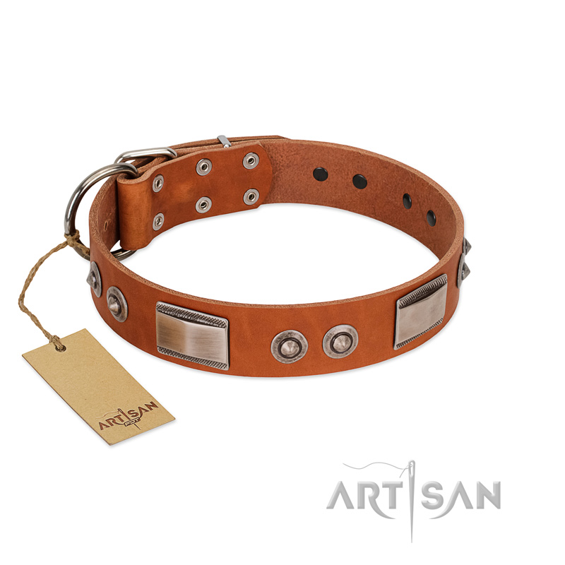 "Pawsy Glossy" FDT Artisan Exclusive Tan Leather Belgian Malinois Collar 1 1/2 inch (40 mm) wide