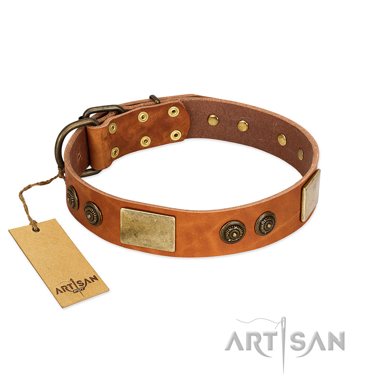 "Bronze Century" FDT Artisan Tan Leather Belgian Malinois Collar with Plates and Brooches with Cool Ornament