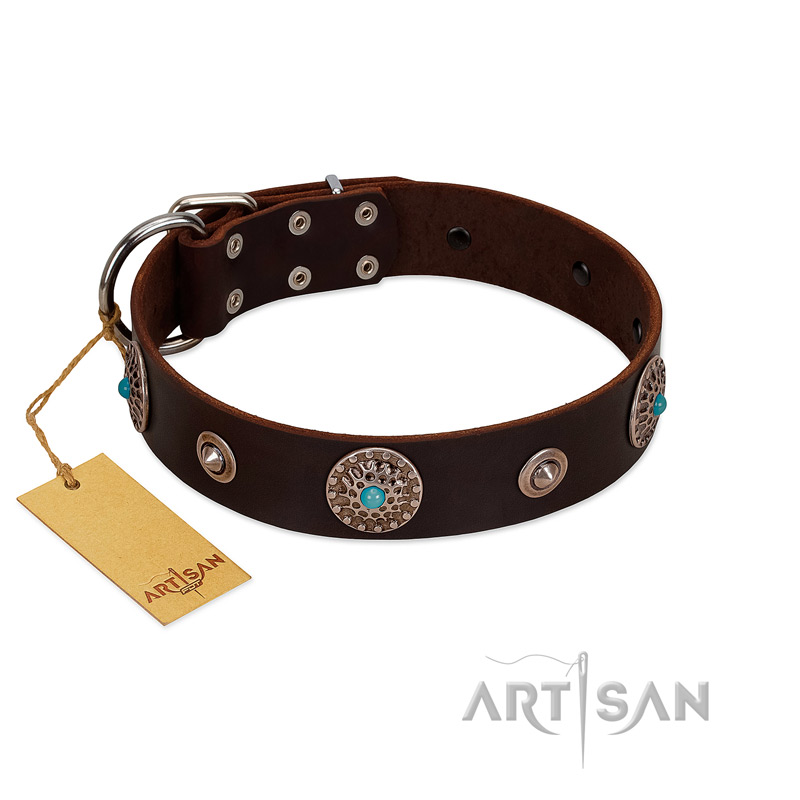 "Magic Stones" FDT Artisan Brown Leather Belgian Malinois Collar with Chrome Plated Brooches and Studs