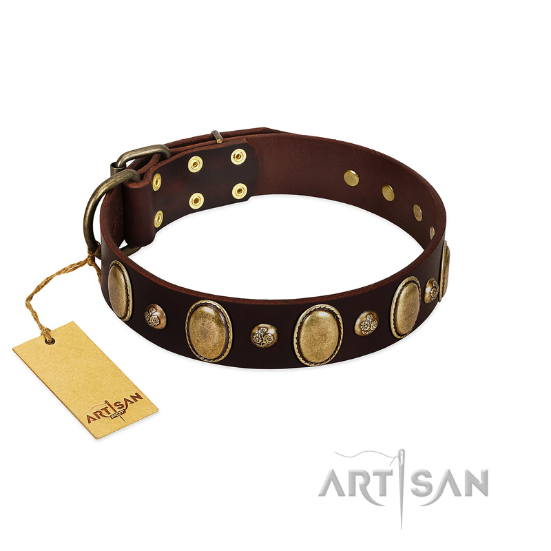 "Natural Grace" FDT Artisan Handmade Decorated Brown Leather Belgian Malinois Collar