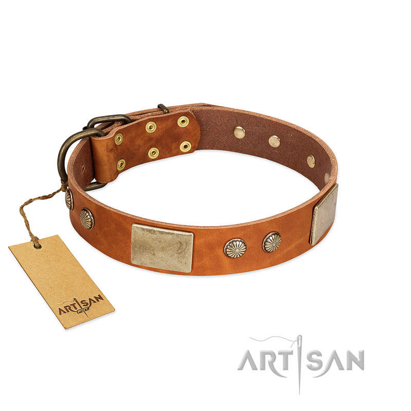 "Ancient Treasures" FDT Artisan Tan Leather Belgian Malinois Collar with Antiqued Plates and Studs - Click Image to Close