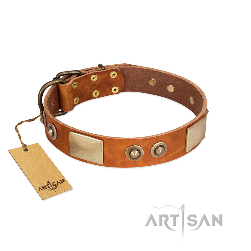 "Perfect Blend" FDT Artisan Tan Leather Belgian Malinois Collar 1 1/2 inch (40 mm) wide