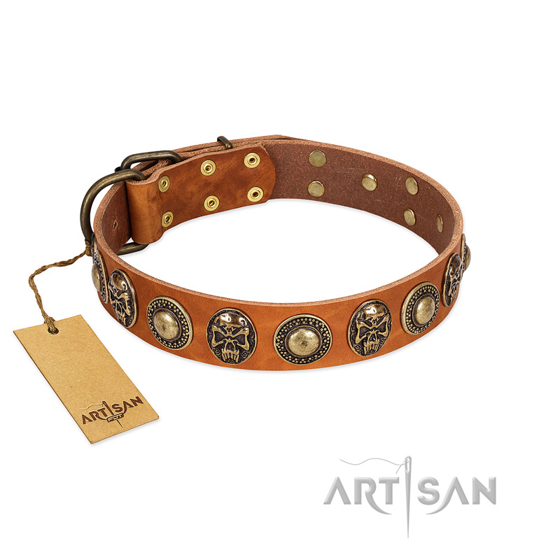 "Golden Epoch" FDT Artisan Tan Leather Belgian Malinois Collar with Old Bronze-plated Medallions and Conchos