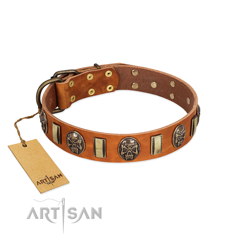 "Strike of Rock" FDT Artisan Tan Leather Belgian Malinois Collar with Plates and Medallions with Skulls