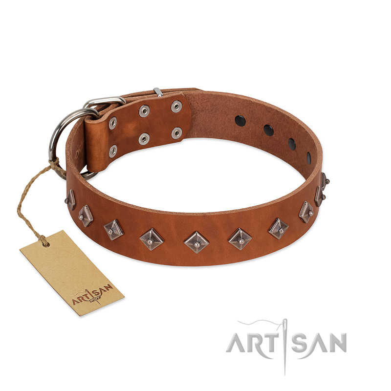 "Broadway" Handmade FDT Artisan Tan Leather Belgian Malinois Collar with Dotted Pyramids