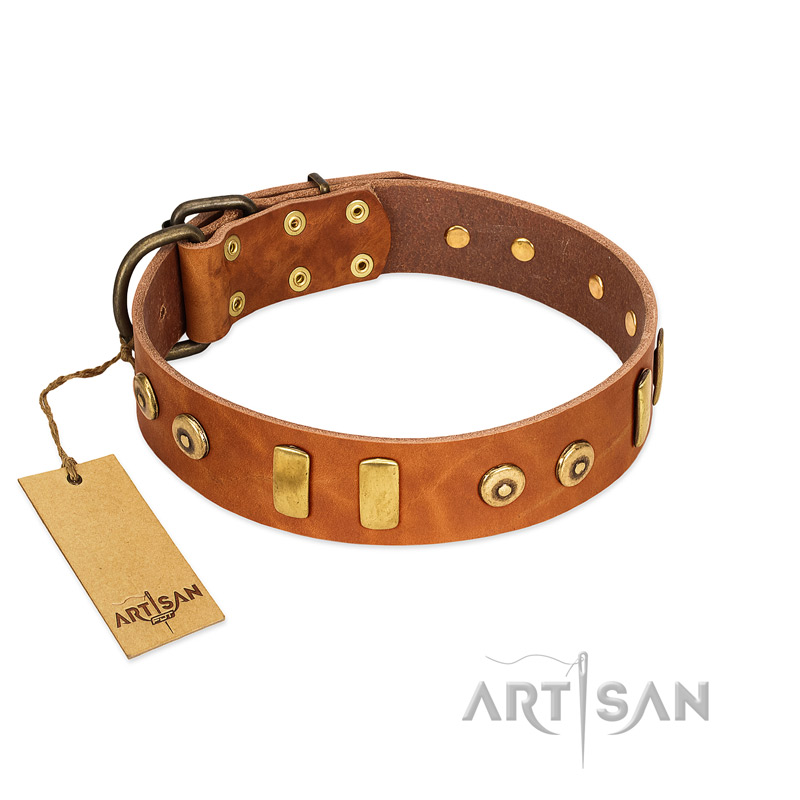 "Egyptian Script" FDT Artisan Tan Leather Belgian Malinois Collar with Plates and Small Studs