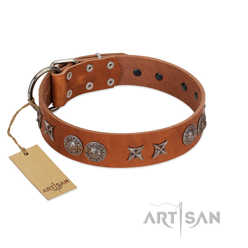 "Splendid Armor" Premium Quality FDT Artisan Tan Designer Belgian Malinois Collar with Shields and Stars