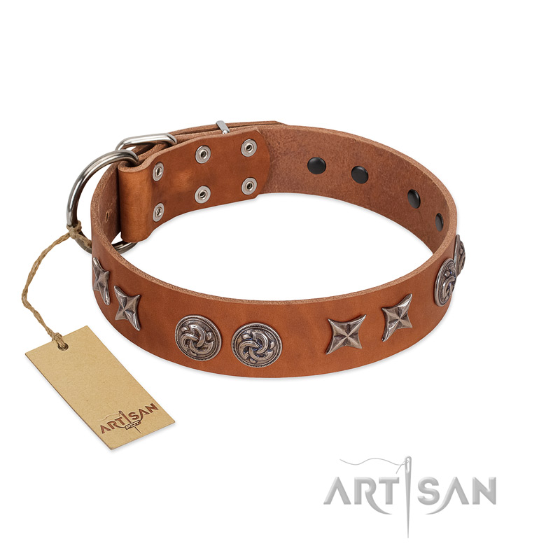 "Brave Spirit" Handmade FDT Artisan Designer Tan Leather Belgian Malinois Collar with Shields