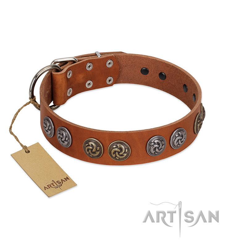 "Luxurious Life" Premium Quality FDT Artisan Tan Leather Belgian Malinois Collar with Round Adornments