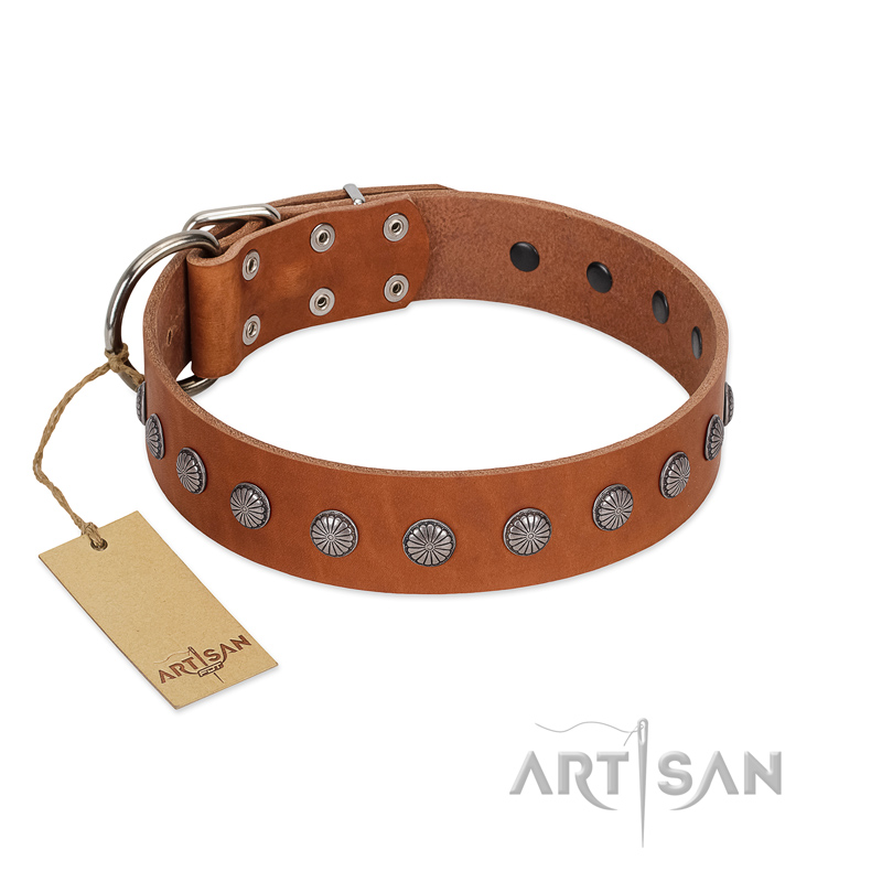 "Little Floret" Fashionable FDT Artisan Tan Leather Belgian Malinois Collar with Silver-Like Adornments