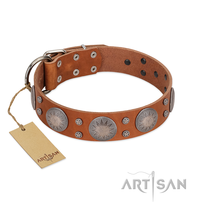 "Far Star" FDT Artisan Tan Leather Belgian Malinois Collar with Engraved Studs