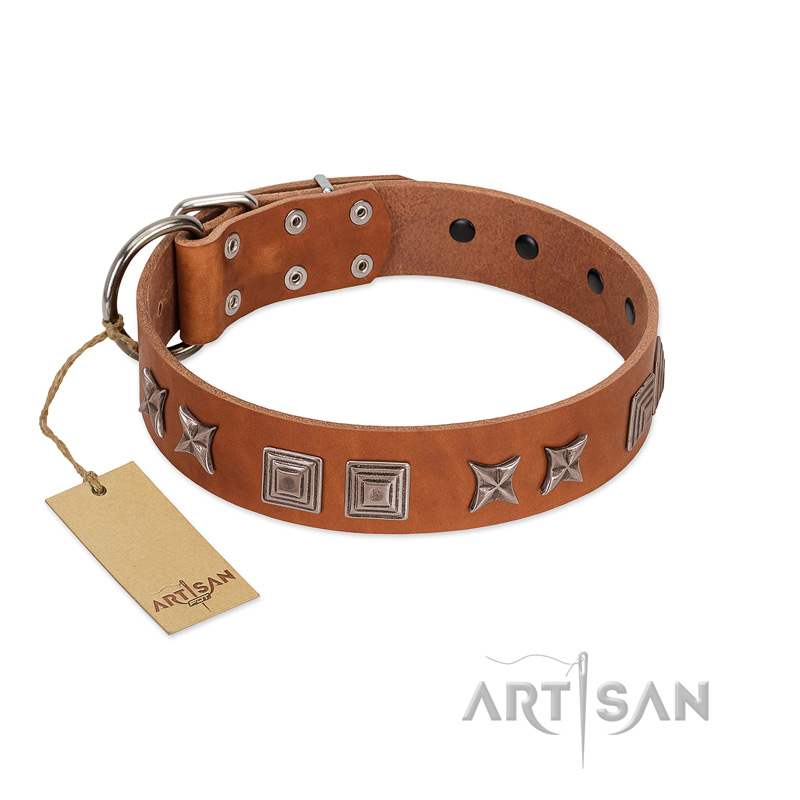 "Antique Figures" FDT Artisan Tan Leather Belgian Malinois Collar with Silver-like Engraved Plates