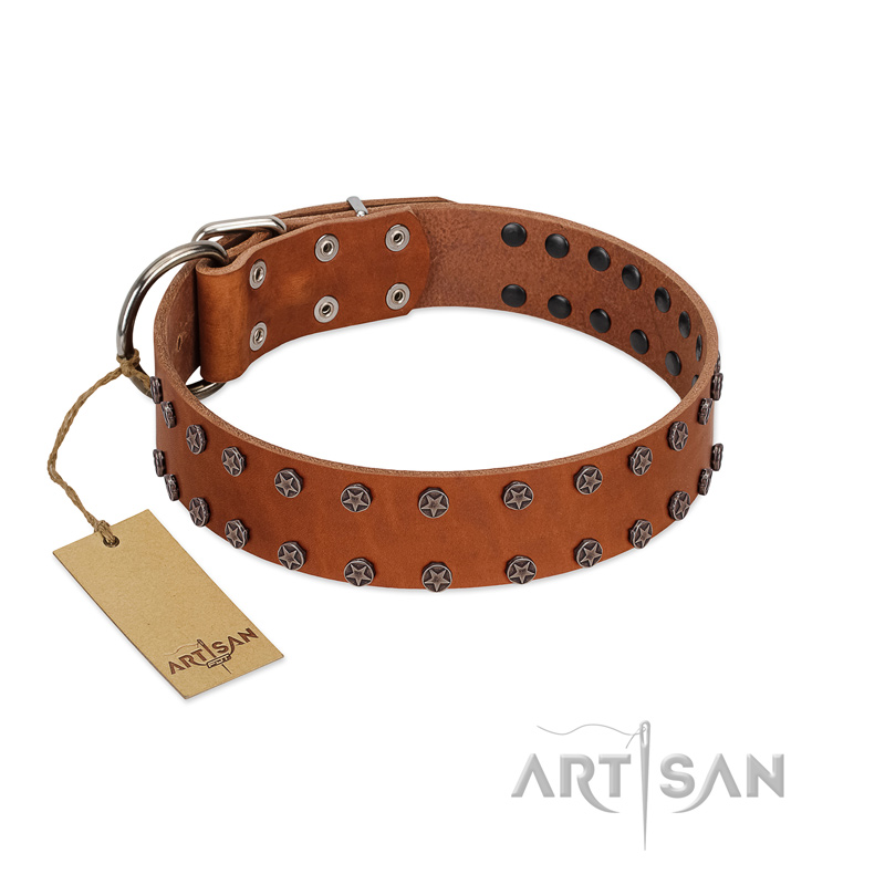 "Star Light" Stylish FDT Artisan Tan Leather Belgian Malinois Collar with Silver-Like Studs