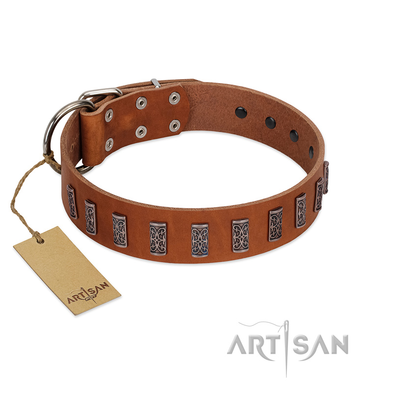 "Silver Century" Fashionable FDT Artisan Tan Leather Belgian Malinois Collar with Silver-Like Plates - Click Image to Close