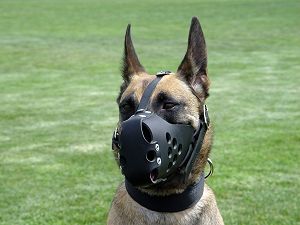 no barking dog muzzle