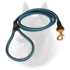 Extraordinary Belgian Malinois Leash in Blue Color