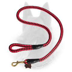 Unusual Belgian Malinois Leash in Red Color