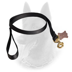 Perfect Belgian Malinois Leash for Wet Weather