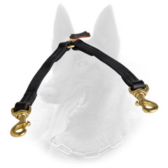 Durable Belgian Malinois Coupler of Leather for Walking