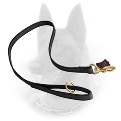 Any Weather Belgian Malinois Leash for Easy Handling