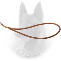 Comfy Belgian Malinois Leash for Safe Walking