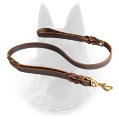 Multimode Belgian Malinois Leash for Safe Walking