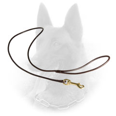 Longevous Belgian Malinois Leather Leash with Reliable Fittings