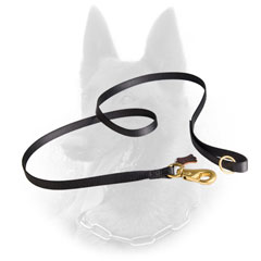 Superable Belgian Malinois Leash of Nylon