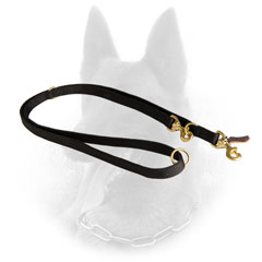 Functional Belgian Malinois Leash for Comfy Walking