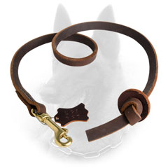 Leather Belgian Malinois Leash for Better Handling