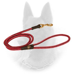 Nylon Belgian Malinois Leash with Unique Design