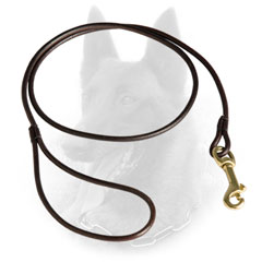 Comfy Leather Belgian Malinois Leash for Safe Handling