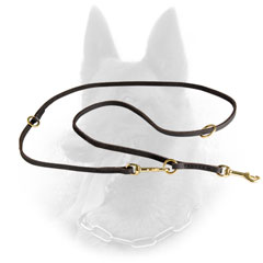 Fantastic Leather Leash for Belgian Malinois