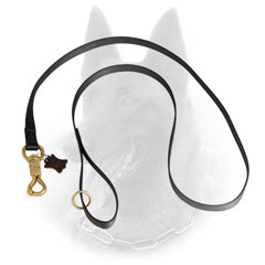 Durable Belgian Malinois Leash of Nylon for Training