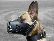 Belgian Malinois Training Leather Dog Muzzle/Agitation Dog Muzzle