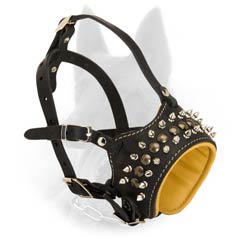Magnificent Belgian Malinois Leather Decorated Spikes Dog Muzzle for Walk in Style