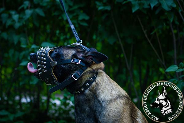 Adjustable Belgian Malinois leather muzzle