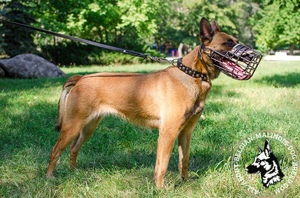 Non-sticking Belgian Malinois wire cage muzzle