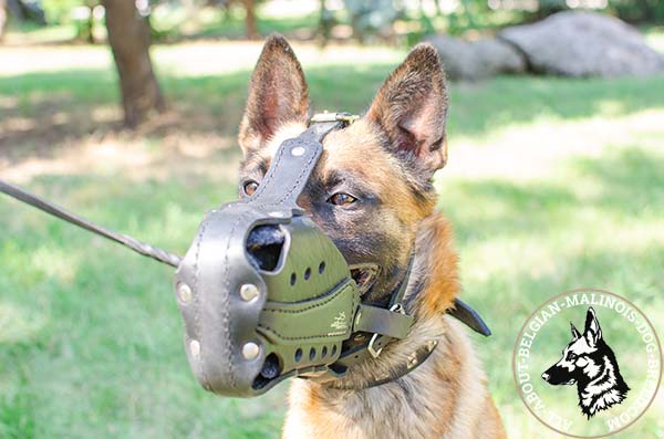 Padded with felt Belgian Malinois muzzle