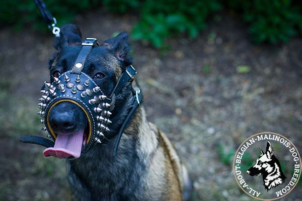 Easy to breathe Belgian Malinois leather muzzle 