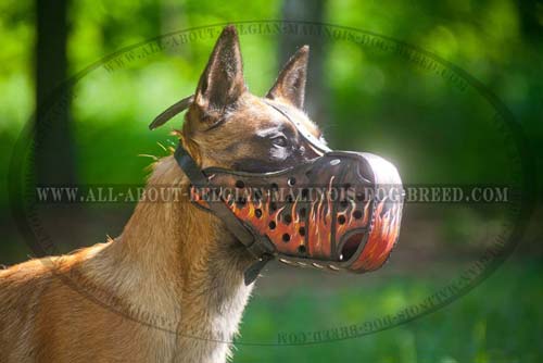 Malinois Leather Muzzle Hand Colored Fire Image